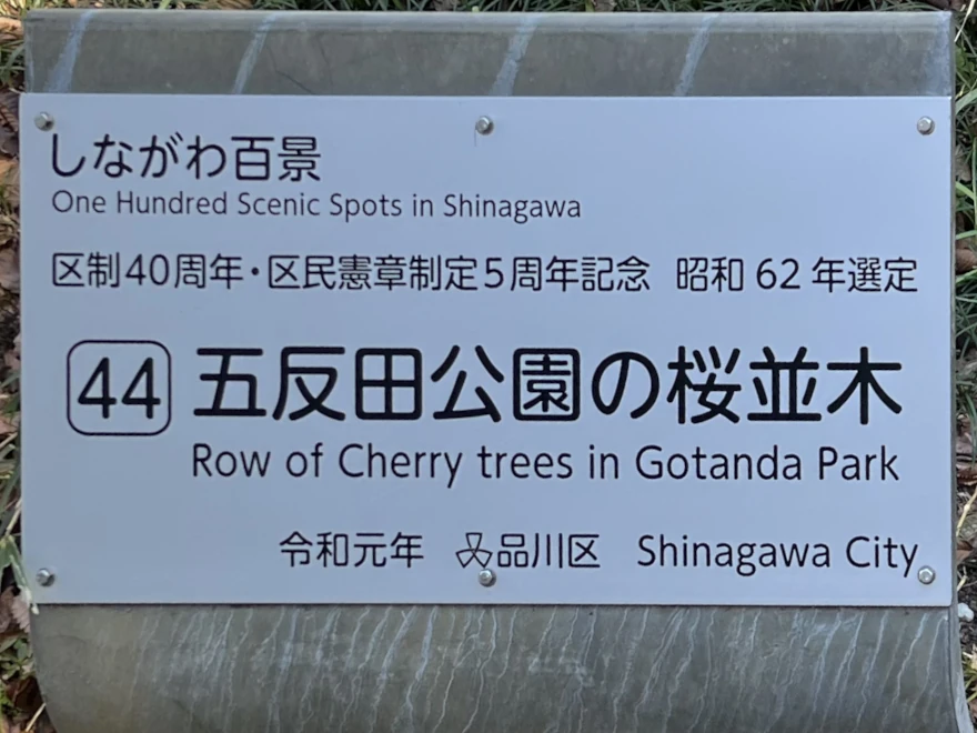 444Row of cherry trees in Gotanda Park 五反田公園の桜並木 sign