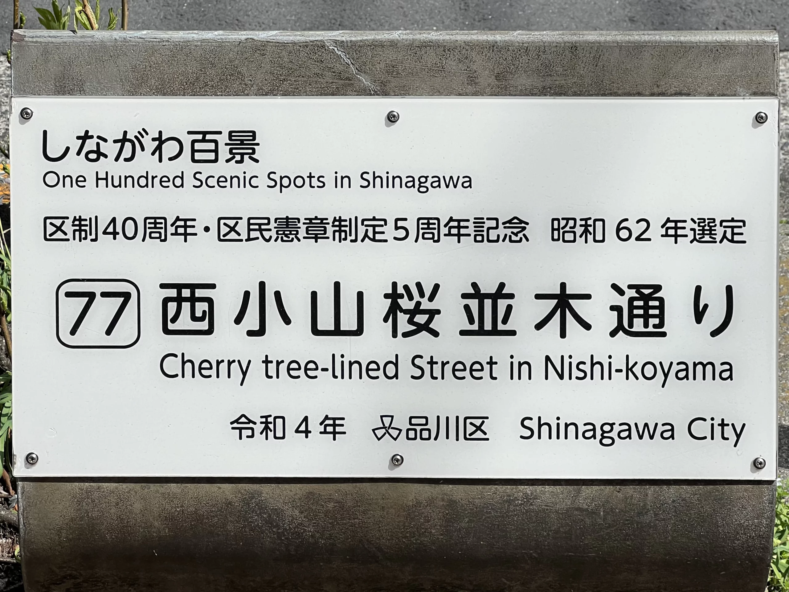 77 Cherry tree-lined Street in Nishi-koyama 西小山桜並木通り sign